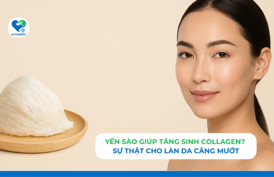 Yến Sào Có Giúp Tăng Sinh Collagen Không? Sự Thật Bất Ngờ Cho Làn Da Căng Mướt