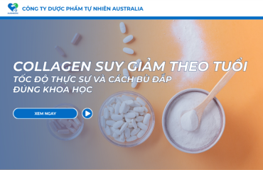Collagen Suy Giảm Theo Tuổi: Tốc Độ Thực Sự Và Cách Bù Đắp Đúng Khoa Học