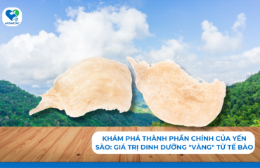 Khám phá Thành phần chính của yến sào: Giá trị dinh dưỡng "vàng" từ tế bào