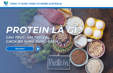 Protein Là Gì? Cấu Trúc, Vai Trò Và Cách Bổ Sung Đúng Cách