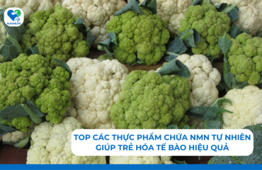 Top các thực phẩm chứa NMN tự nhiên giúp trẻ hóa tế bào hiệu quả
